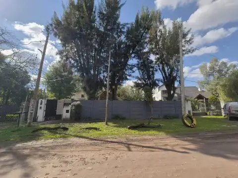 Facundo 700