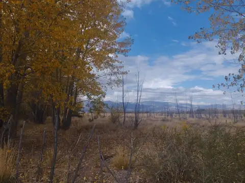 Venta 14 hectáreas en San Alberto, Uspallata, Mza