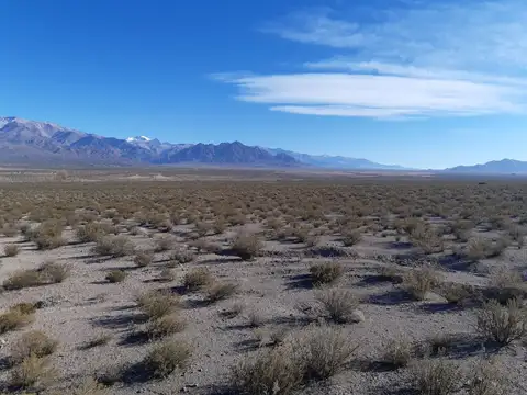 Venta 14 hectáreas en San Alberto, Uspallata, Mza