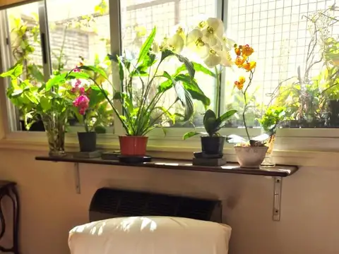 Departamento en Alquiler Temporal de 3 ambientes