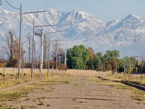 Terreno en Venta de 500,0 m2