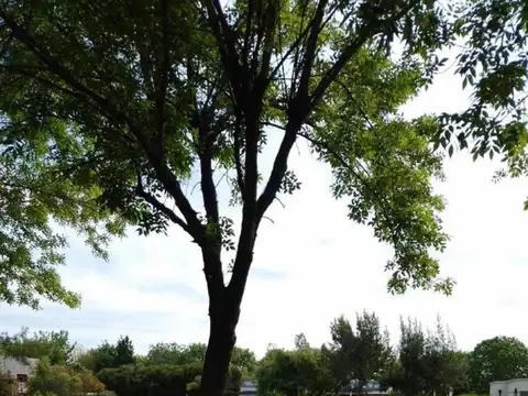 Terreno en venta - 1438mts2 - Haras Del Sur I