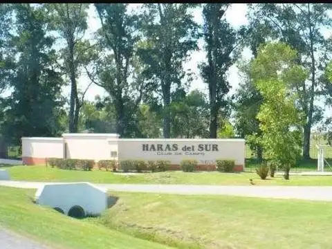 Haras del Sur I