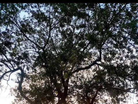 Terreno en Venta en Haras Del Sur, USD 21.500