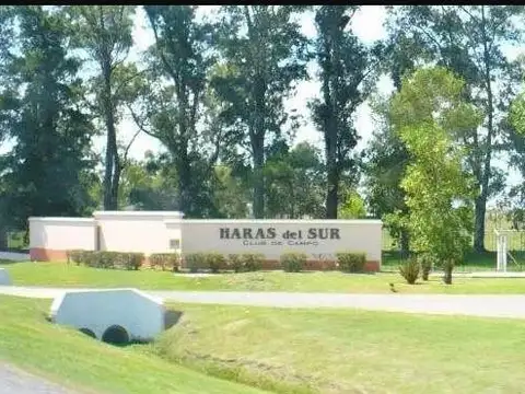 Haras del Sur I