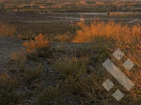 Terreno - Cipolletti