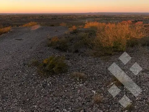 Terreno en Venta de 20000,0 m2
