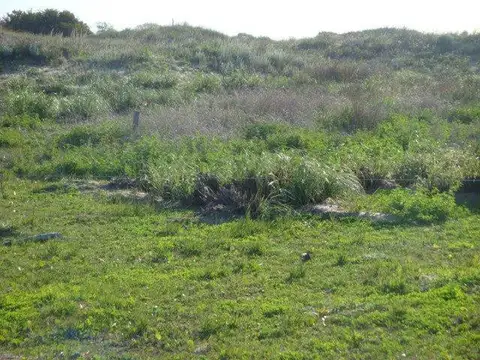 Terreno en Venta de 12,0 m2