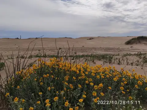 Terreno en Venta de 12,0 m2