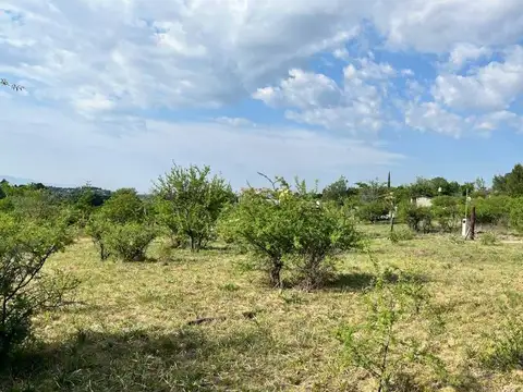 Terreno en Venta de 771,0 m2