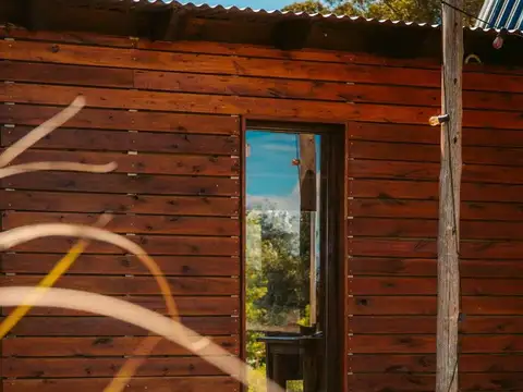 Pavón 100