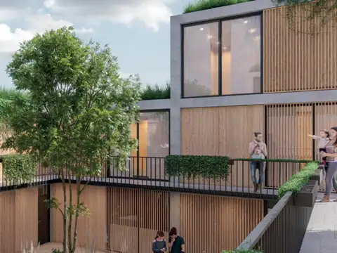 Street Mall Docta 100