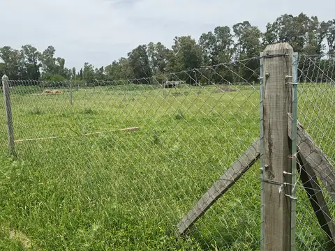 Terreno en Venta en Ruta 3 Kilometro 75 700, USD 25.000