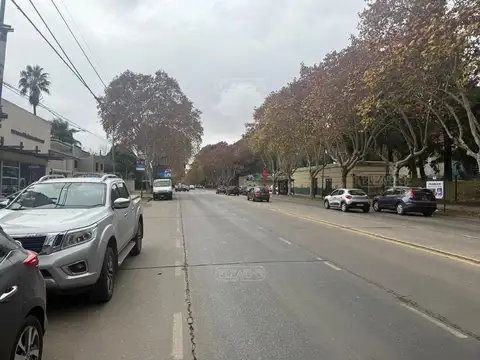 AVENIDA BERNABE MARQUEZ 800