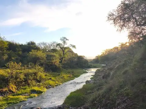 Campo en Venta de 0,54  ha