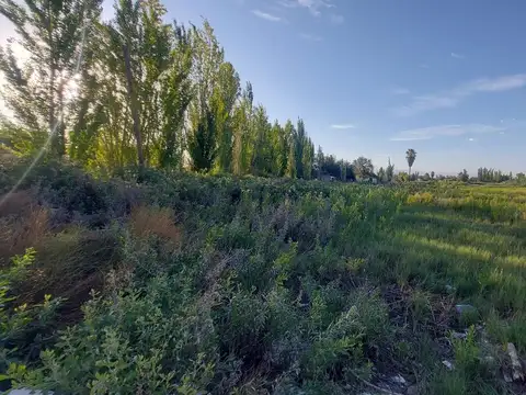 Terreno en Venta de 1100,0 m2