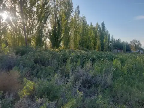 VENTA LOTE LOS CORRALITOS GUAYMALLEN MENDOZA