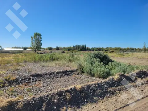 Terreno en Venta en Plottier, Confluencia