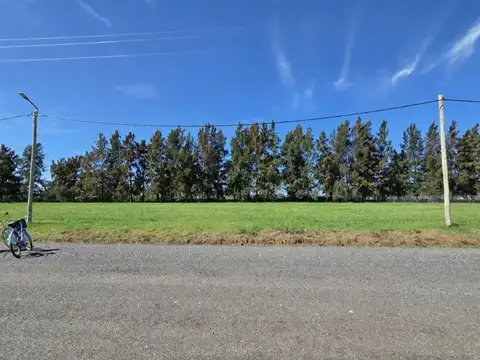 Terreno en Venta de 1000,0 m2