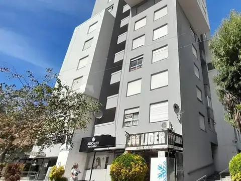 Constitucion 344 100