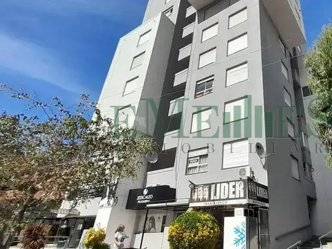 Constitucion 344 100