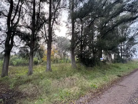 Terreno en Venta 32  mts Fondo