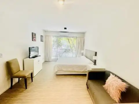 Monoambiente Luminoso En Palermo