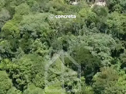 Los Zarzos