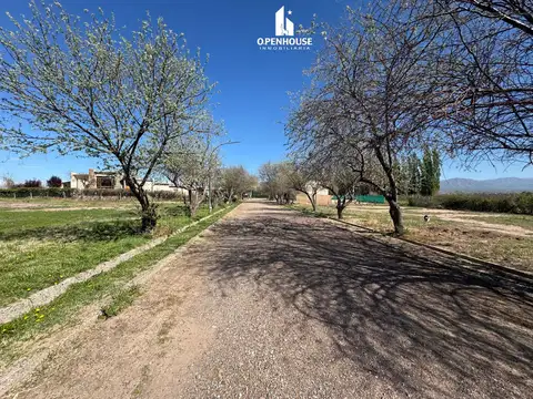 Terreno en Venta en Lujan de Cuyo, Luján de Cuyo
