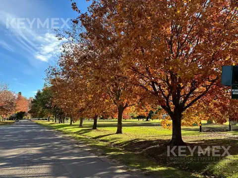 SAN FRANCISCO CLUB DE CAMPO