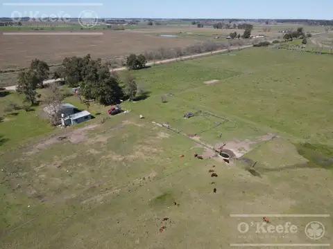 CHACRA de 15 has en venta - Disfrute y producción a 1000 mts de Ruta 29, en el Partido de General Be
