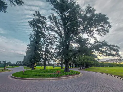 Azahares del Paraná 'BS070