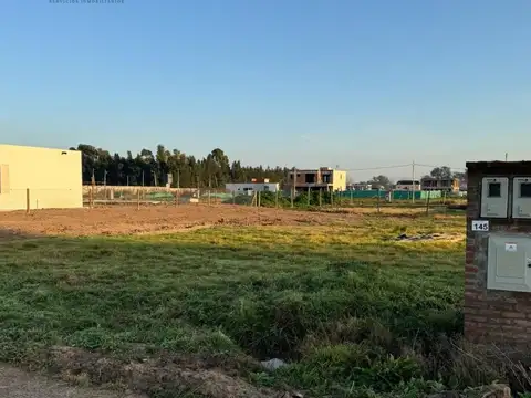 Barrio Gold La Magdalena