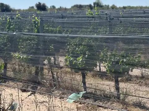 Campo en Venta de 25  ha