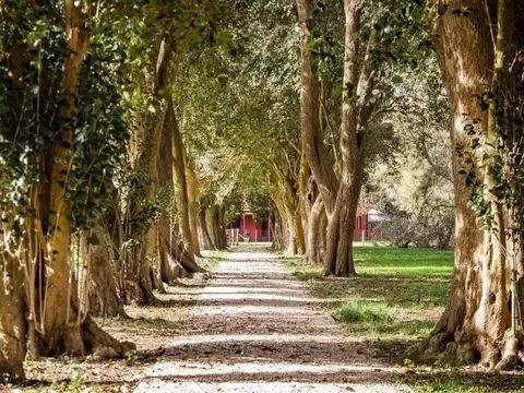 Terreno en Venta en Coronel Brandsen, USD 45.000