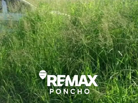 SE VENDECAMPO OPORTUNIDAD 5.940HA LA PAZ CATAMARCA