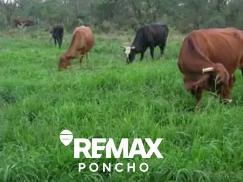 SE VENDECAMPO OPORTUNIDAD 5.940HA LA PAZ CATAMARCA
