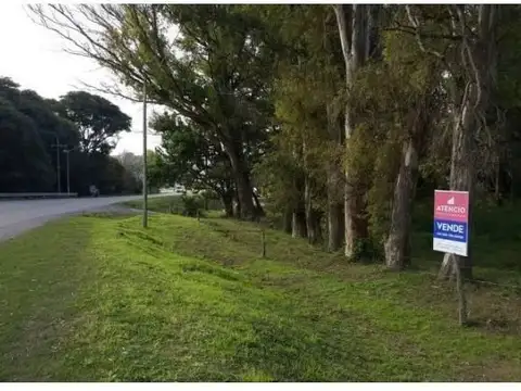 Zona Abadia, Lotes De 1.000 M2 Arbolados Sobre Ruta