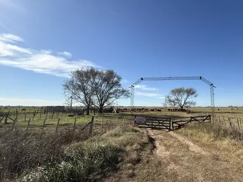 CAMPO GANADERO EN VENTA