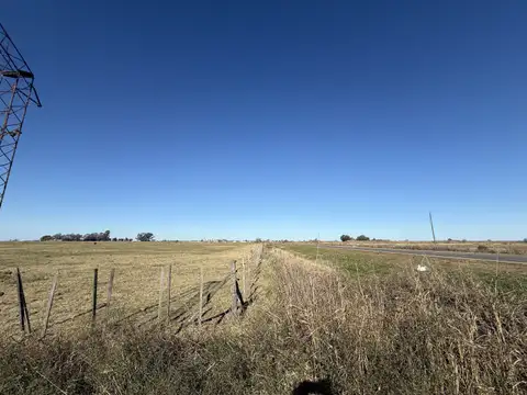 CAMPO GANADERO EN VENTA
