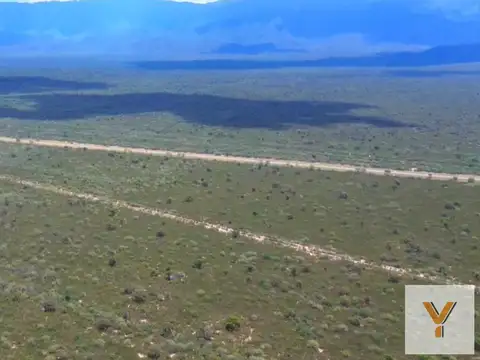 Campo en venta - 7.252Mts2 - Bazán