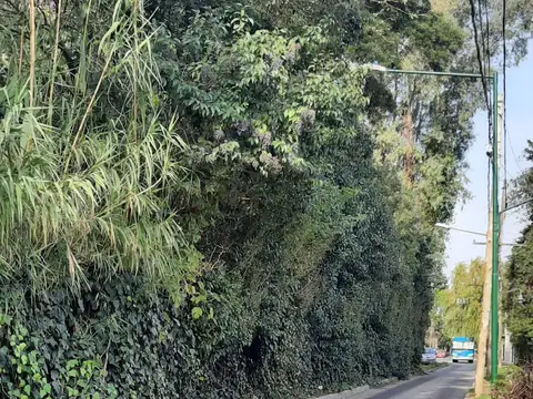 Terreno en Venta 48  mts Fondo