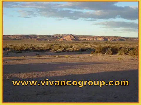 Campo en Venta Ganadero