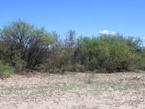 Ruta Provincial 50 900