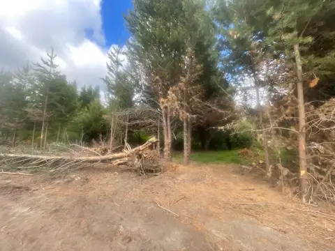 Antiguo Camino Llao Llao 16000