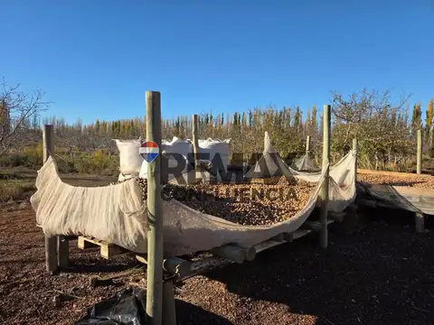 CHACRA 13HA A METROS DE LA RUTA - SARGENTO VIDAL