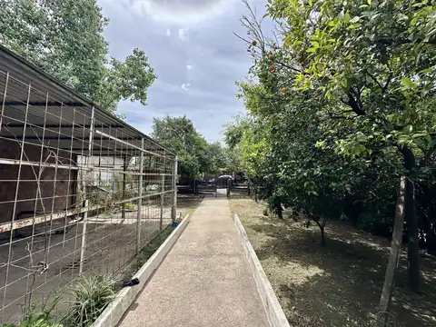 San Luis  al 200