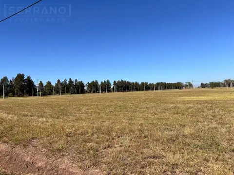 Terreno en Venta 50  mts Fondo