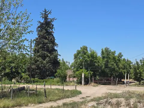 VENTA  FINCA 12 HECTAREAS CAMPO VIDAL TUPUNGATO
