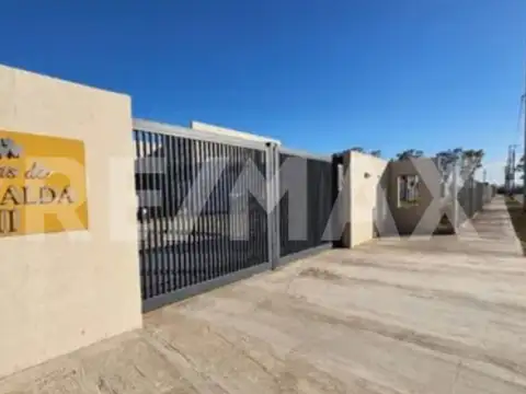 Maestro Don Juan Espinoza 3100